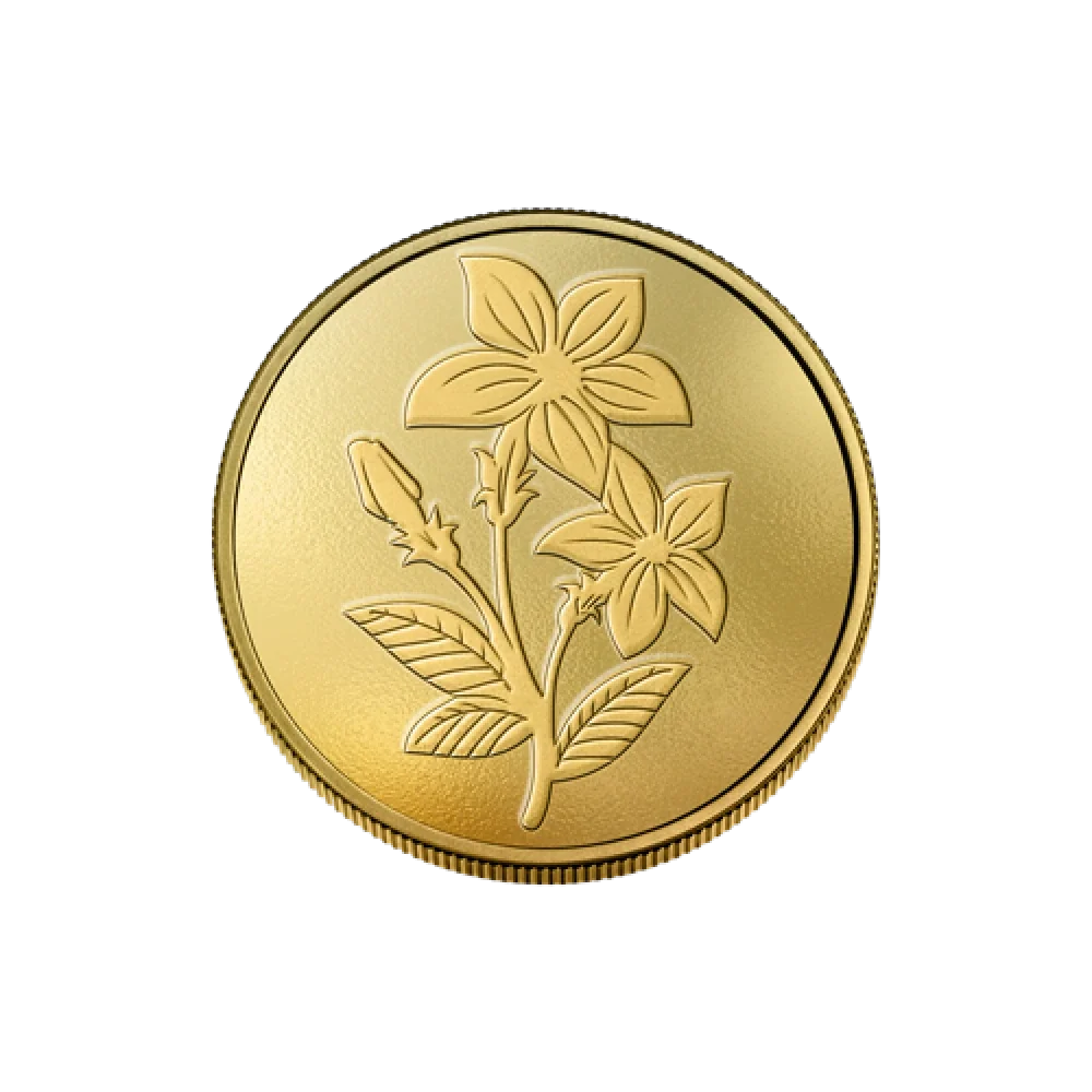 50g Gold Coin (999.9)